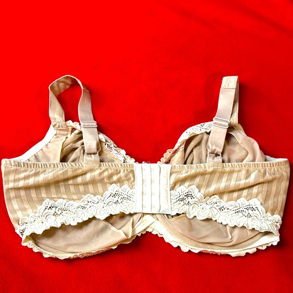 Modern 42H Lace white Cream Tan Bra